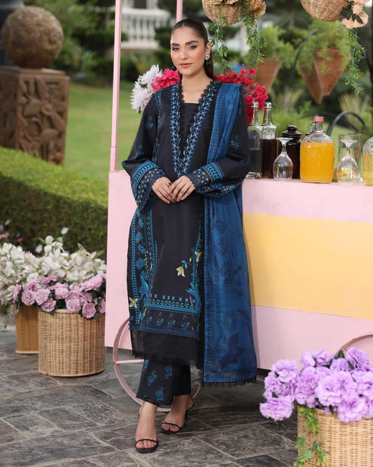 USHNA 10 - Black Organza | RANG RASIYA LIFESTYLE SUMMER EDIT 2025