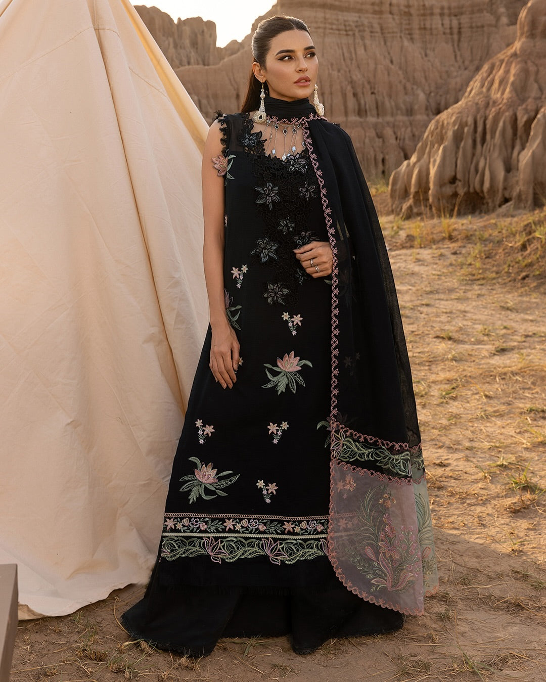 ZOYA 05 - Black Organza | RANG RASIYA 2025 COLLECTION