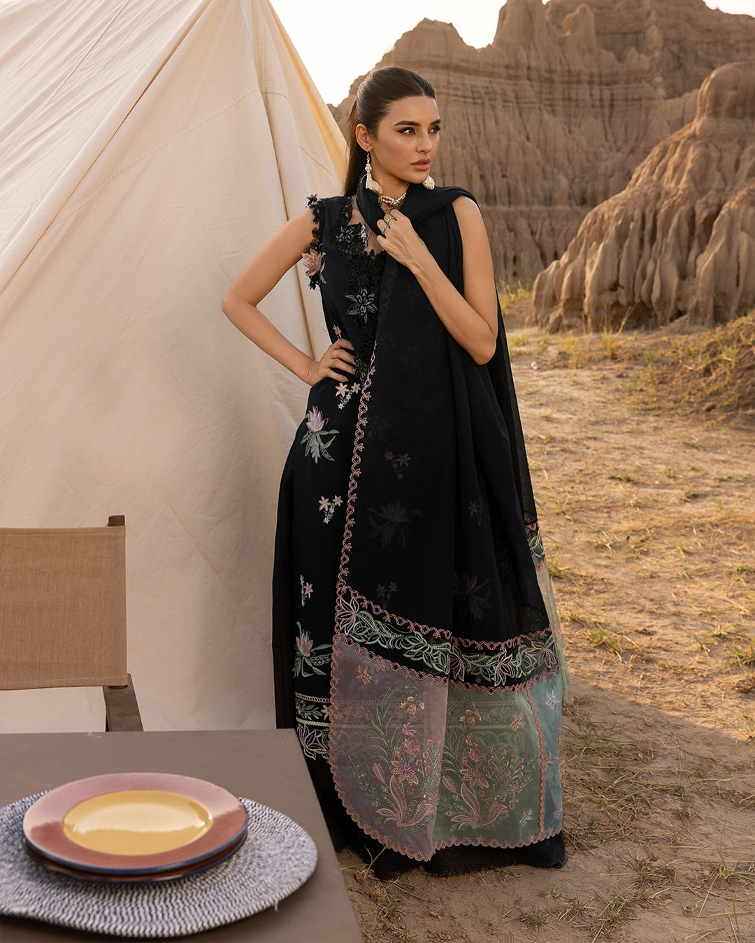 ZOYA 05 - Black Organza | RANG RASIYA 2025 COLLECTION