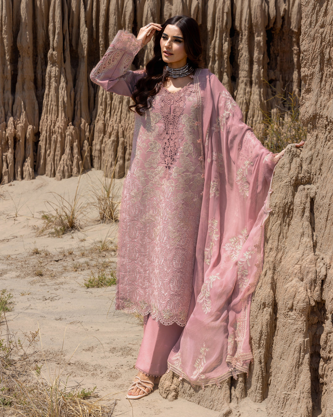 AYSEL 02 - Pink ORGANZA | RANG RASIYA 2025 COLLECTION