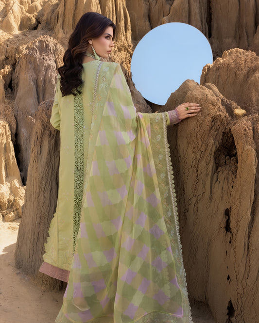 RANIA 10 - Lime Yellow Organza | RANG RASIYA 2025 COLLECTION