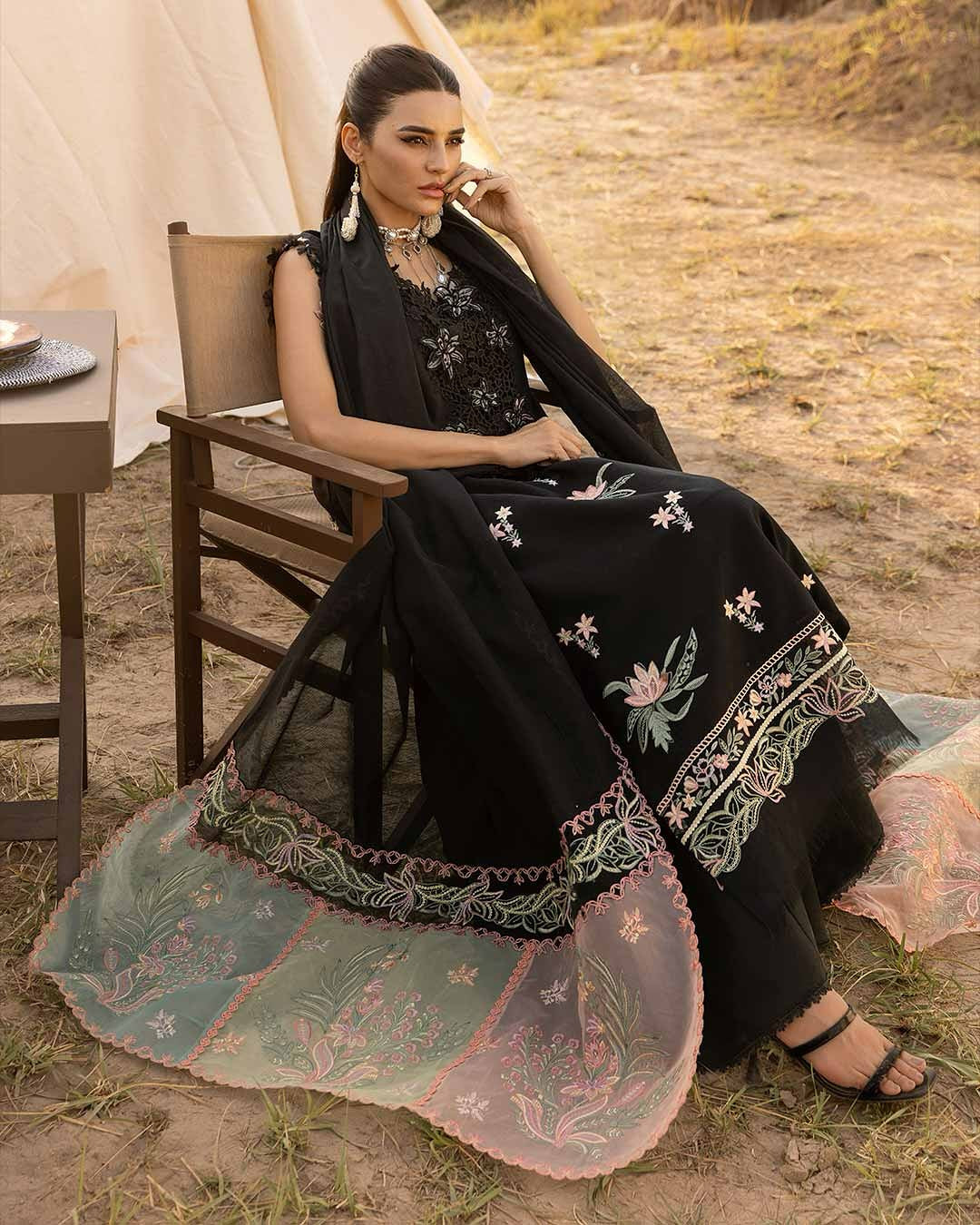 ZOYA 05 - Black Organza | RANG RASIYA 2025 COLLECTION