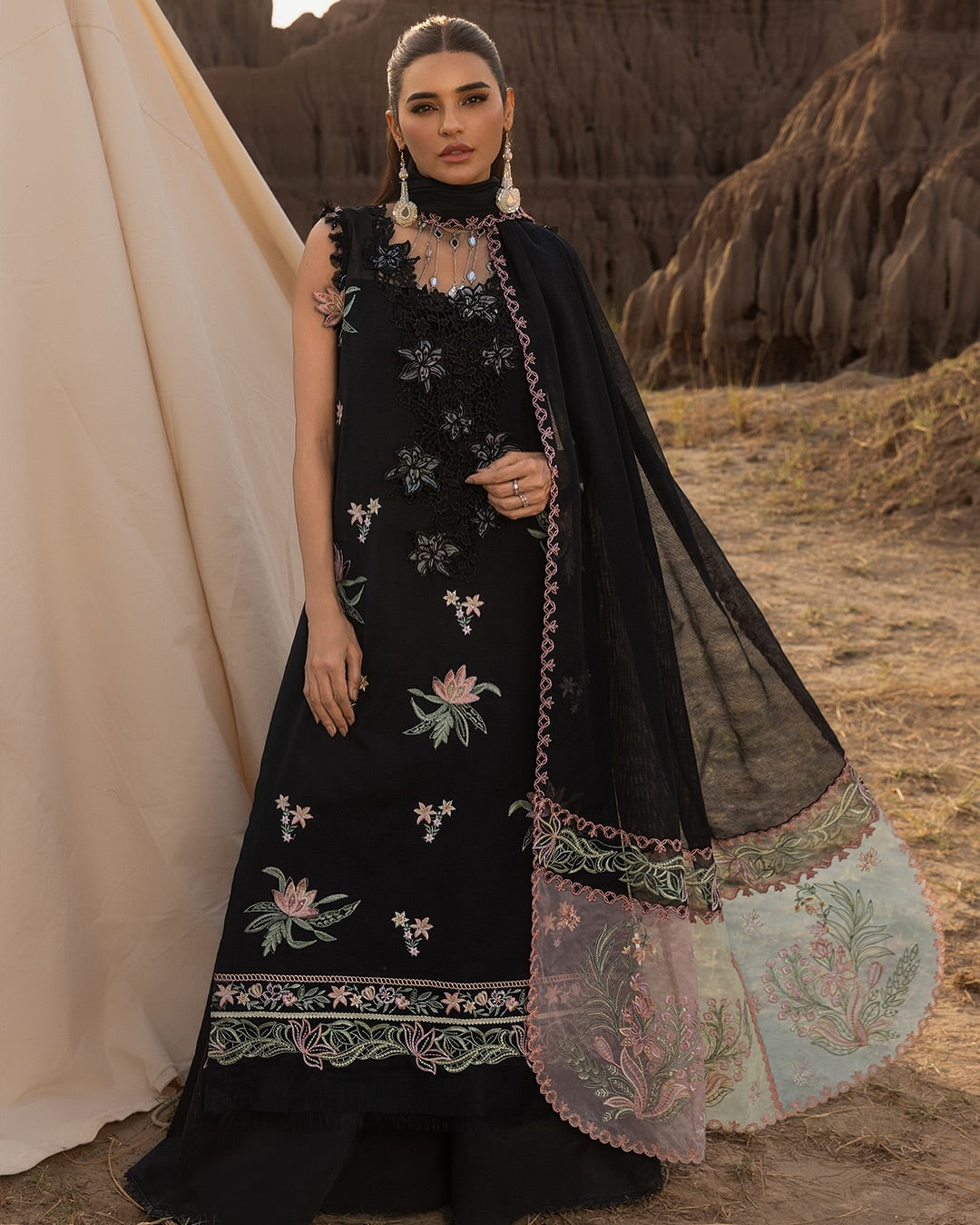 ZOYA 05 - Black Organza | RANG RASIYA 2025 COLLECTION