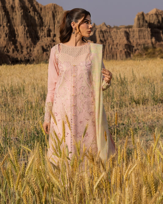 NEHAL 01 - Peach Organza | RANG RASIYA 2025 COLLECTION