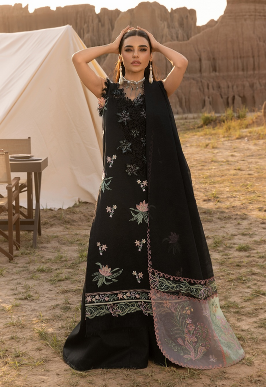 ZOYA 05 - Black Organza | RANG RASIYA 2025 COLLECTION