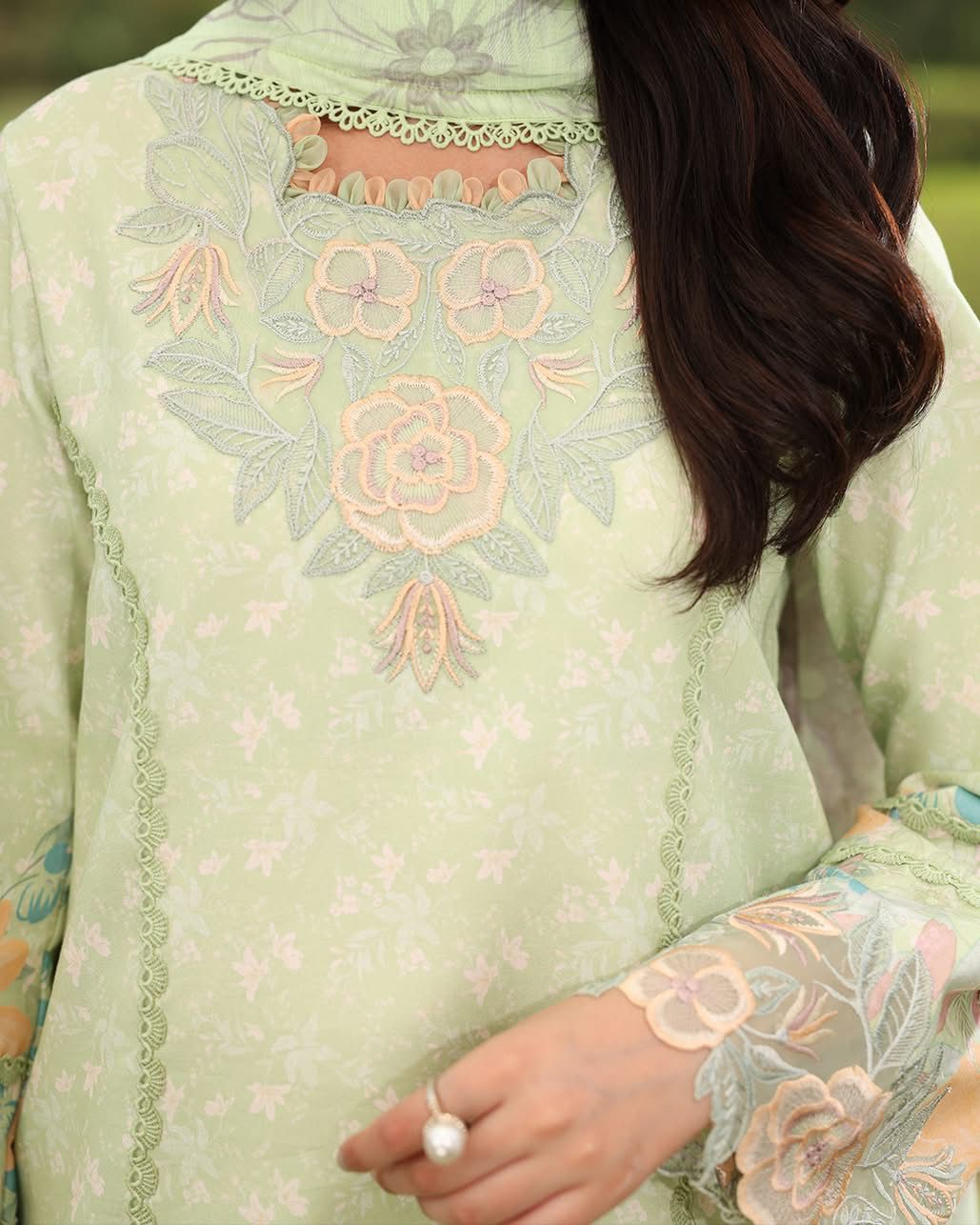 REEEHA 09 - Pista Organza | RANG RASIYA LIFESTYLE SUMMER EDI 2025