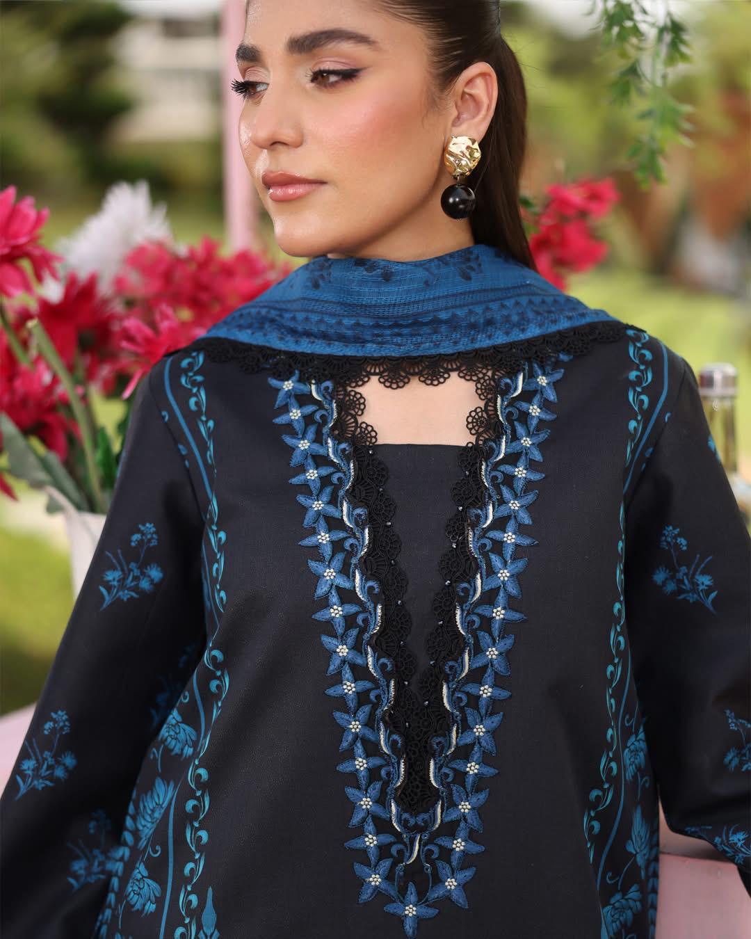 USHNA 10 - Black Organza | RANG RASIYA LIFESTYLE SUMMER EDIT 2025