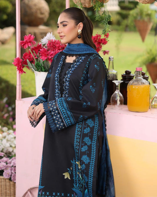 USHNA 10 - Black Organza | RANG RASIYA LIFESTYLE SUMMER EDIT 2025