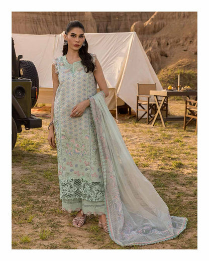 NADINE 08 - Pistachio Green Organza | RANG RASIYA 2025 COLLECTION