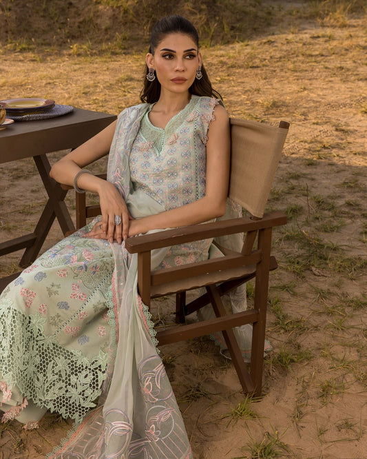 NADINE 08 - Pistachio Green Organza | RANG RASIYA 2025 COLLECTION