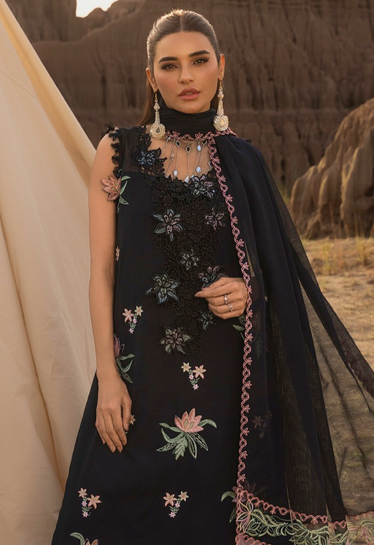 ZOYA 05 - Black Organza | RANG RASIYA 2025 COLLECTION