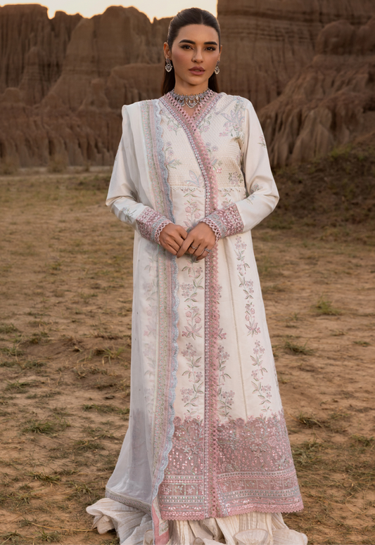 HAYA 04 - White ORGANZA | RANG RASIYA 2025 COLLECTION